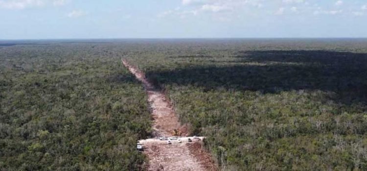 Autoriza Semarnat MIA del tramo 5 Sur del Tren Maya Autoriza Semarnat MIA del tramo 5 Sur del Tren Maya