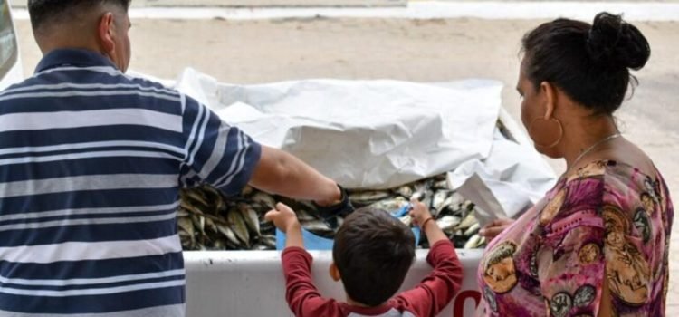 Entregan más de 10 toneladas de pescado a familias en municipios de Colima