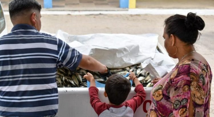 Entregan más de 10 toneladas de pescado a familias en municipios de Colima
