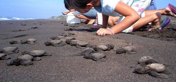 Conmemorarán el Día Mundial de la Tierra en el tortugario