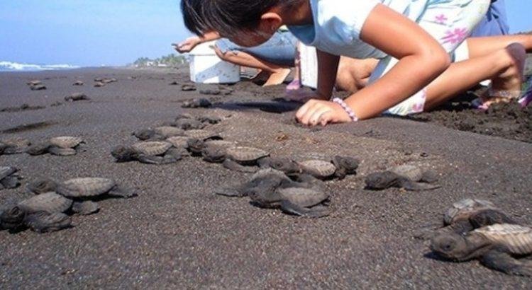 Conmemorarán el Día Mundial de la Tierra en el tortugario
