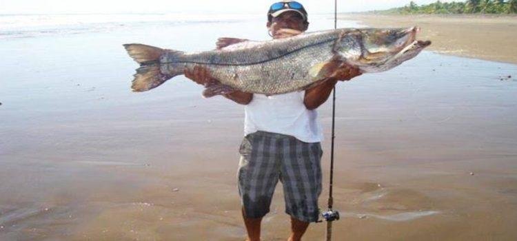 En junio será el Torneo Internacional de Pesca de Robalo