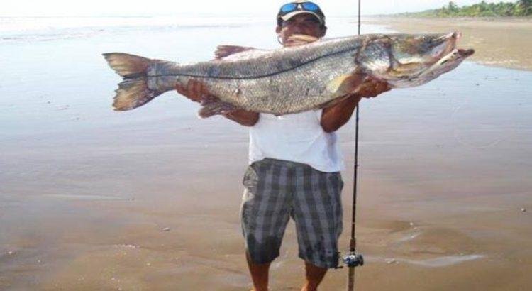 En junio será el Torneo Internacional de Pesca de Robalo