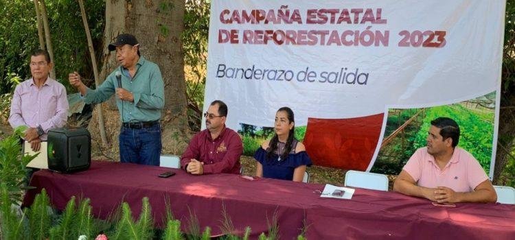 Se llevará acabo campaña de reforestación en Colima