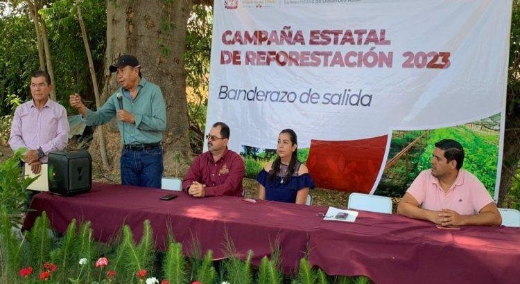 Se llevará acabo campaña de reforestación en Colima