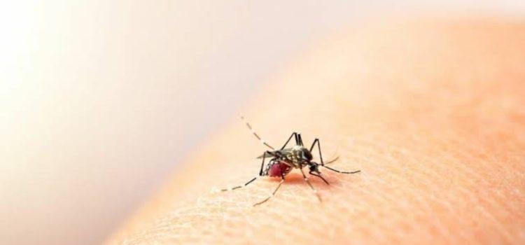 Incrementan los casos de dengue en la entidad