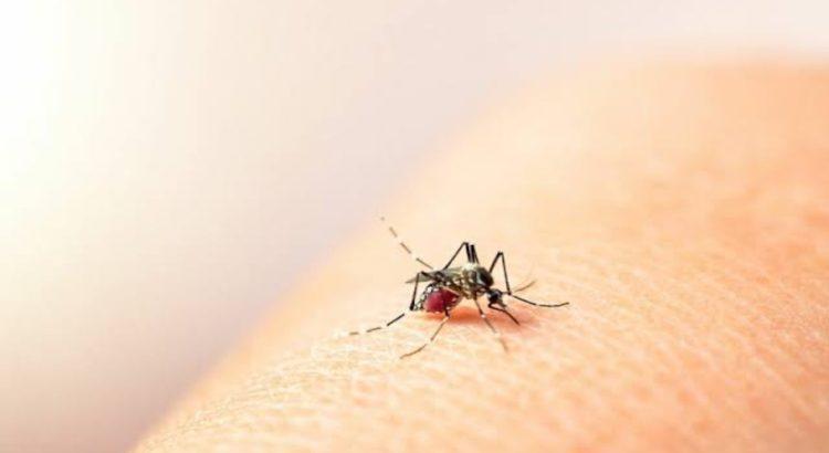 Incrementan los casos de dengue en la entidad