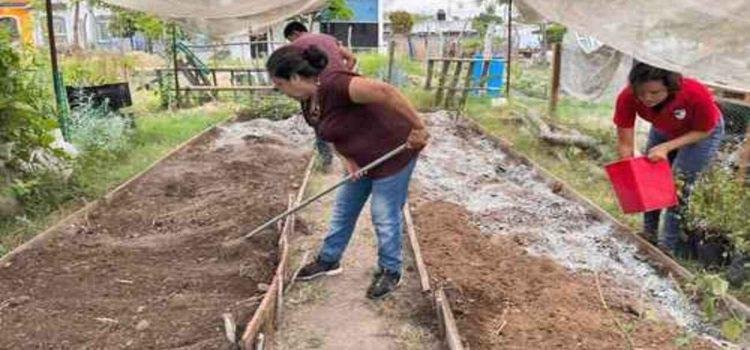 Aprueban en Colima la primera ley agroecológica del país