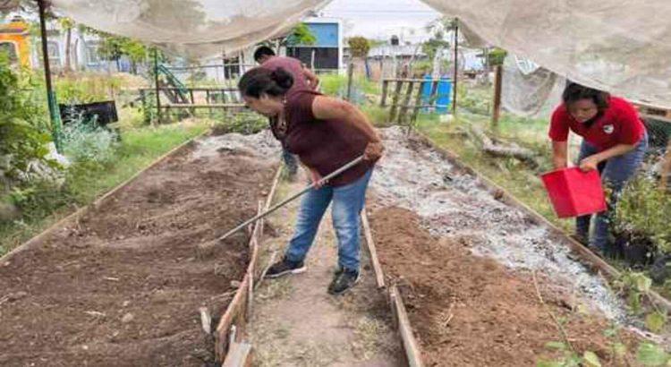 Aprueban en Colima la primera ley agroecológica del país