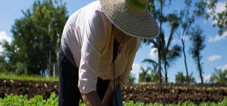 Promoverán a nivel federal la Ley Agroecológica del Estado