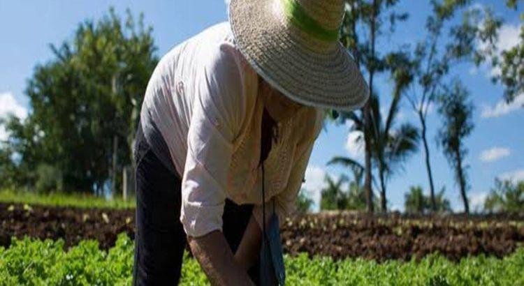 Promoverán a nivel federal la Ley Agroecológica del Estado