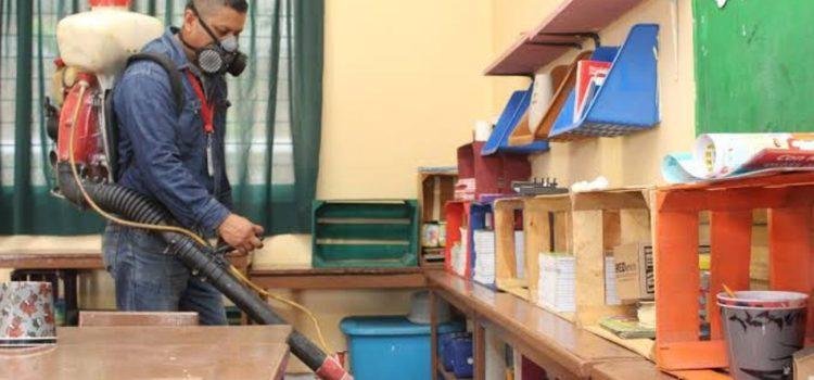 Mantienen control larvario y rociado contra el dengue en Colima