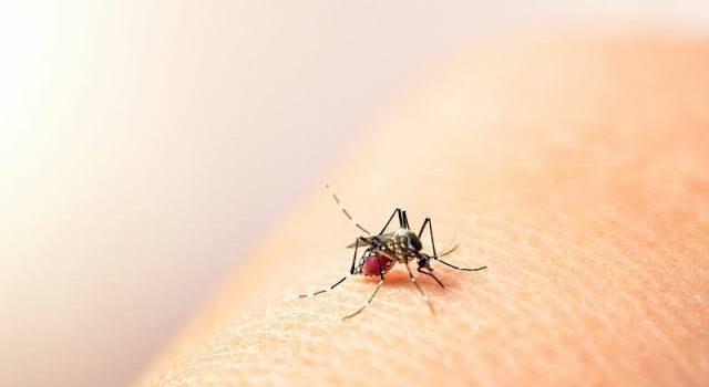 Incrementan casos de dengue en Colima