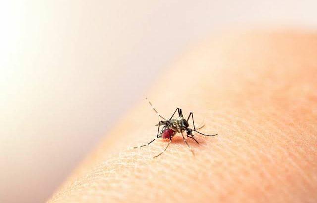 Incrementan casos de dengue en Colima