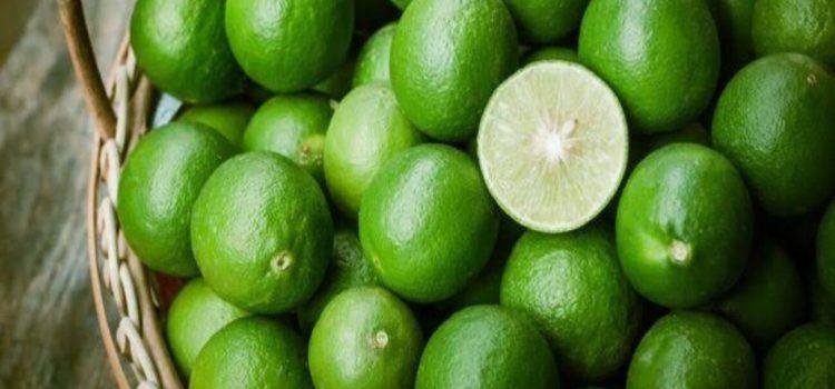 Colima tercer productor nacional de limón