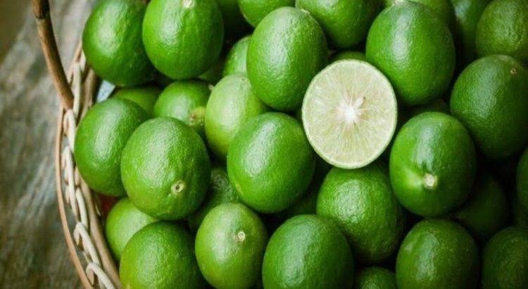 Colima tercer productor nacional de limón