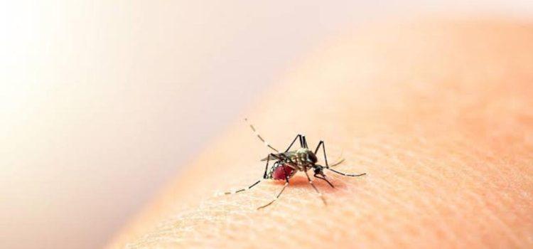 Incrementan casos de dengue en el estado