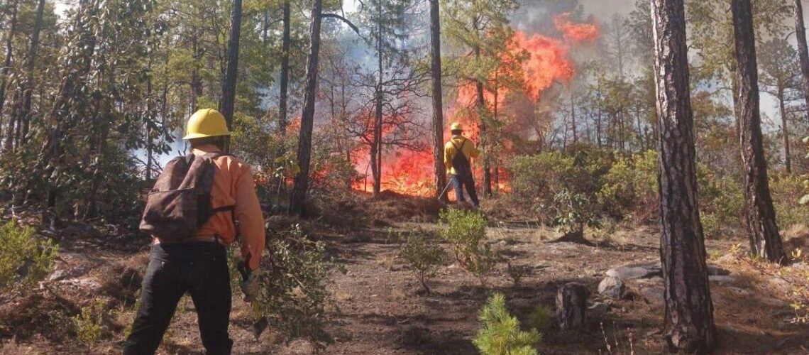 Colima registra 63 incendios forestales y 1,966 hectáreas dañadas