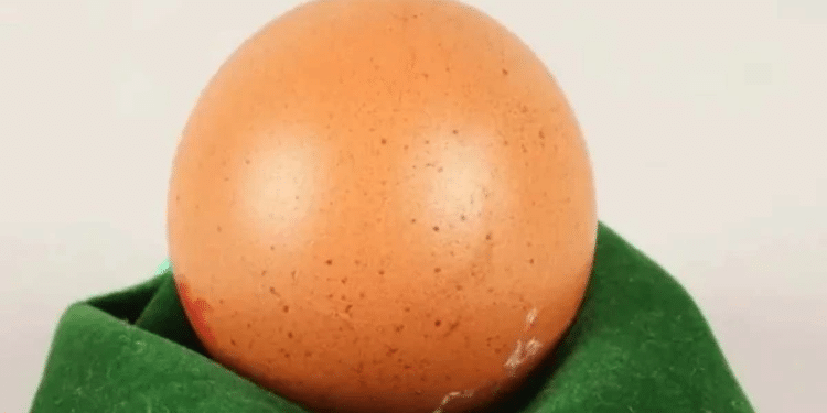 ¿250 dólares por un huevo? ¿250 dólares por un huevo?