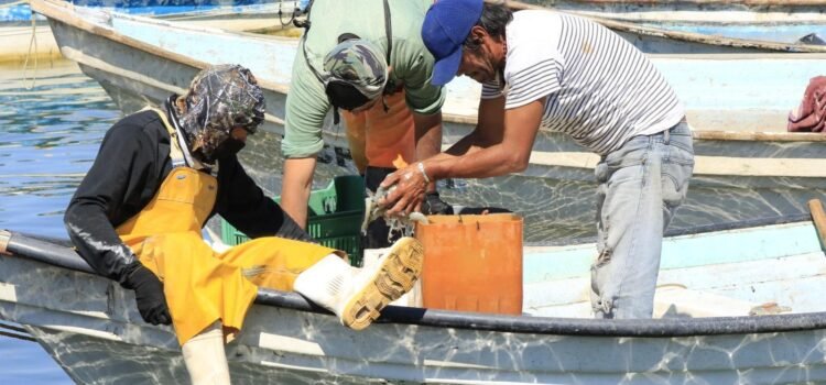 Conapesca combate pesca ilegal en costas de Colima   