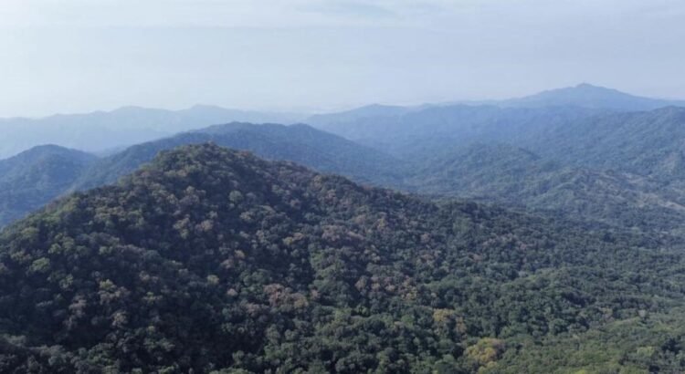 Inversión de 3 mdp para la conservación del Corredor Biológico Canoas-Manantlán en Colima