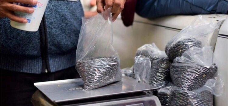 Panorama complicado para productores de frijol, por cierre de acopios del SADER