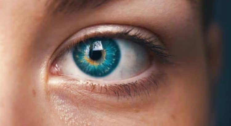 Científicos descubrieron un nuevo color