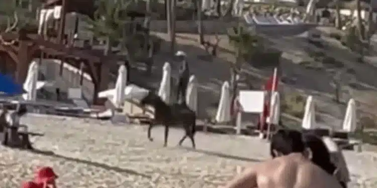 Jinete sorprende con acrobacias a caballo en playa cabeña