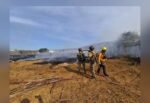 Incendios forestales en Colima 2025, más de mil hectáreas afectadas