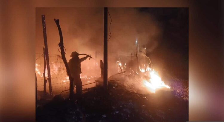 Más de mil hectáreas afectadas por 67 incendios forestales en Colima