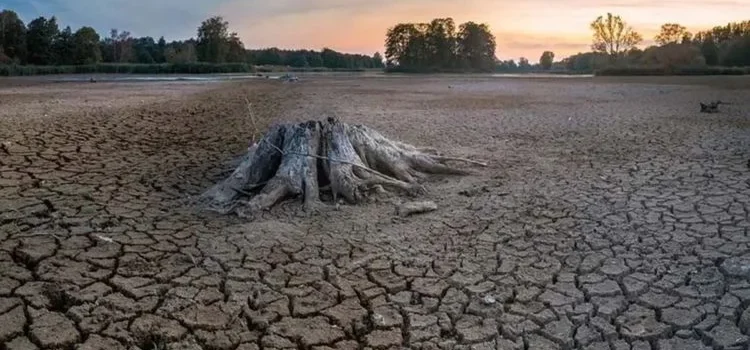 Entra el planeta en “quiebra hídrica” Entra el planeta en “quiebra hídrica”