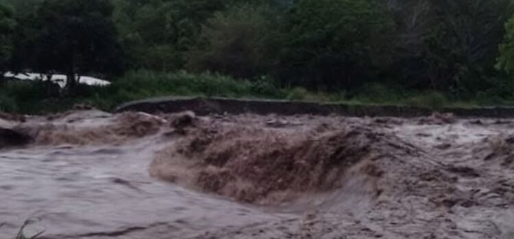 Protección Civil de Colima atiende 37 incidentes por lluvias y desbordamientos Protección Civil de Colima atiende 37 incidentes por lluvias y desbordamientos