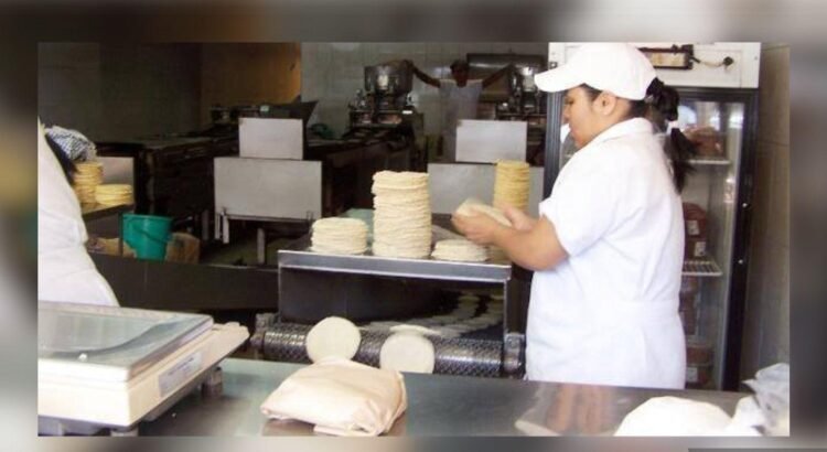 Colima desconoce plan federal para bajar precio de tortilla