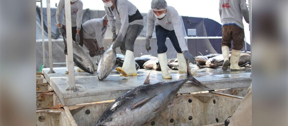 Pesca ilegal persiste en costas de Colima