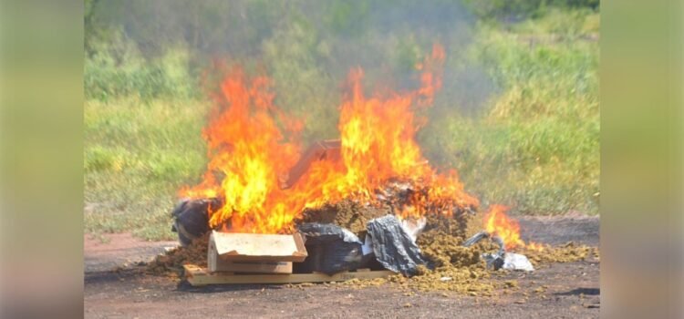 Más de 170 kilos de narcóticos decomisados fueron incinerados en Colima Más de 170 kilos de narcóticos decomisados fueron incinerados en Colima