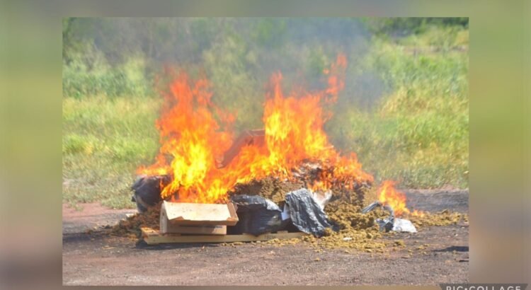 Más de 170 kilos de narcóticos decomisados fueron incinerados en Colima