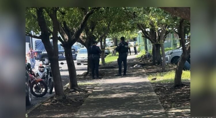 Hombre asesinado cerca del Poder Judicial en Colima