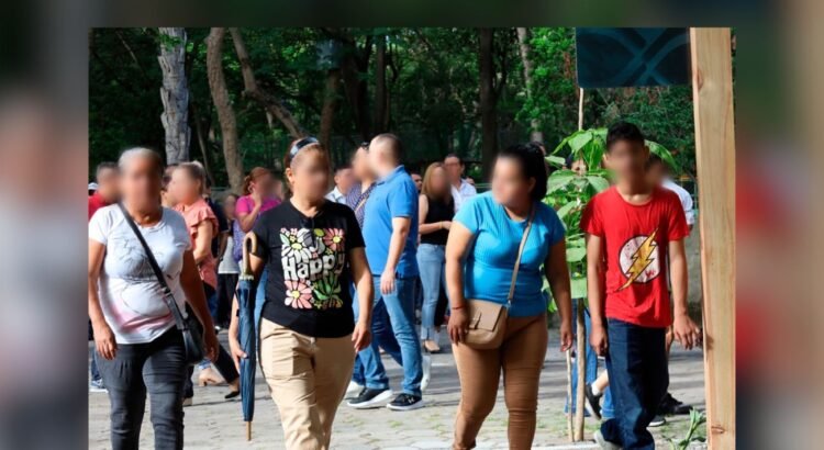 Cerca del 67% de los expedientes judiciales en Colima fueron familiares en el primer semestre