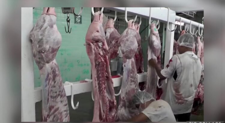 Colima intensifica vigilancia en la producción de carne 