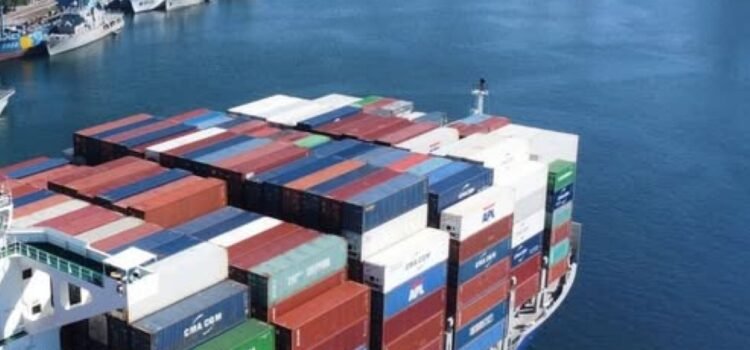 Ambientalistas critican omisión de MIA del Puerto de Manzanillo