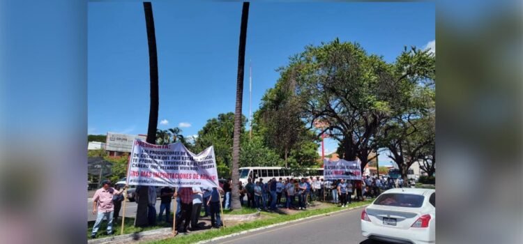 Productores cañeros buscan intervención de Sheinbaum en Colima