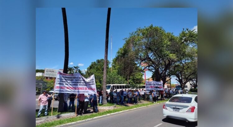 Productores cañeros buscan intervención de Sheinbaum en Colima