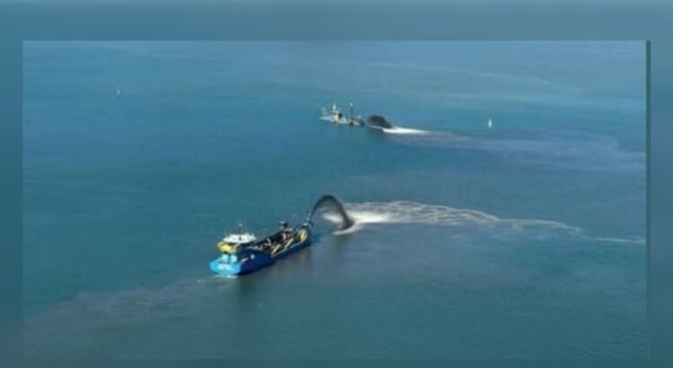 Pescadores de Cuyutlán denuncian afectaciones por obras sobre la laguna
