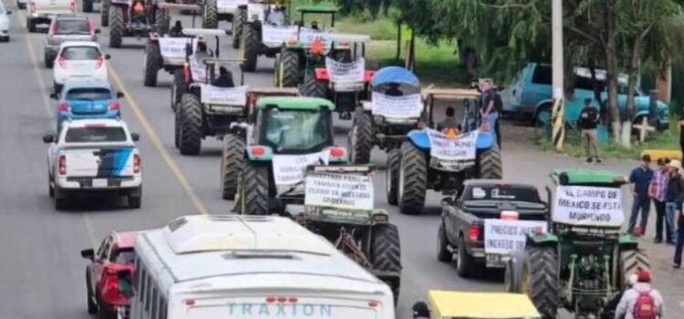 Crisis del limón moviliza a productores de Colima en paro nacional Crisis del limón moviliza a productores de Colima en paro nacional