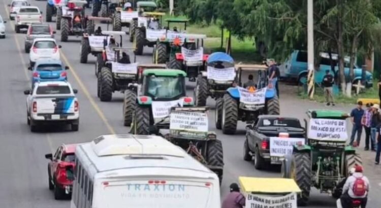 Crisis del limón moviliza a productores de Colima en paro nacional