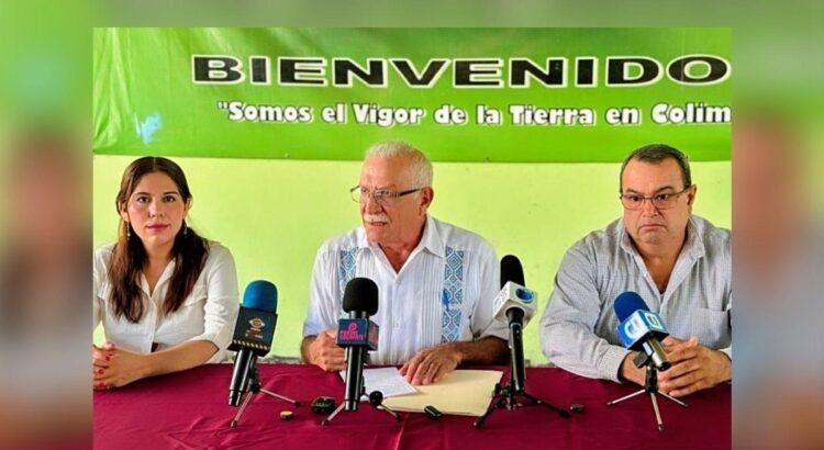Retrasos en créditos de Sader llevan a arroceros de Colima a prestamistas