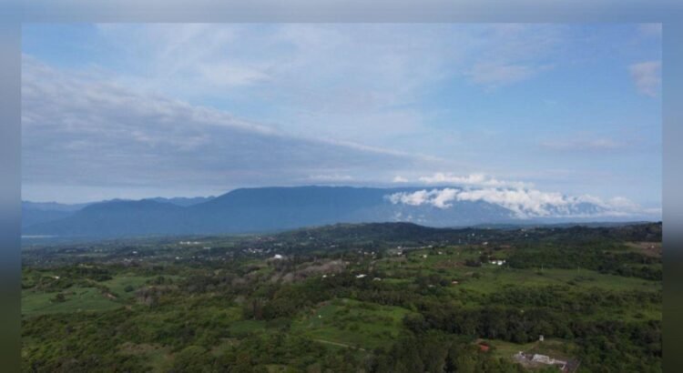 Infocol ordena a Imades entregar información ambiental de interés público