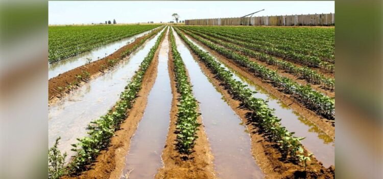 Agricultores de Colima podrán regularizar sus concesiones de agua, anuncia Conagua