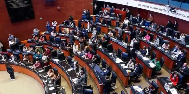 Recibe Senado minuta de ley para el acceso libre y gratuito a playas Recibe Senado minuta de ley para el acceso libre y gratuito a playas