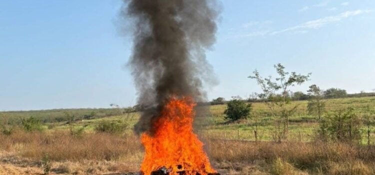 FGR destruye droga y equipo ilegal asegurado en operativos federales en Colima